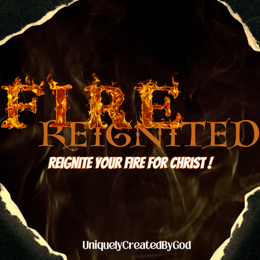 Fire Reignited Blog